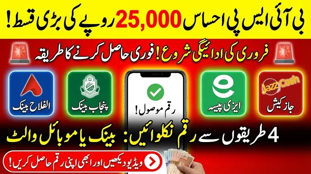 How to Get BISP 8171 Ehsaas Rs. 25,000 February Payment from Alfalah Bank, Punjab Bank, Easypaisa, or JazzCash